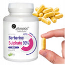 ALINESS BERBERYNA SIARCZAN 98% 400 MG 60 KAP ODCHUDZANIE CUKRZYCA TRAWIENIE