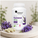 Suplement diety Aliness niepokalanek 500 mg kapsułki 100 szt.