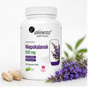 Suplement diety Aliness niepokalanek 500 mg kapsułki 100 szt.