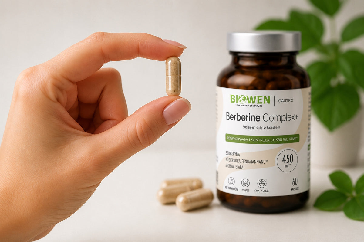 BERBERINE COMPLEX BIOWEN 510 MG BERBERYNA 97% HCL MORWA KOZIERADKA CUKIER