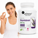 Suplement diety Aliness niepokalanek 500 mg kapsułki 100 szt.