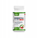 Berberyna HCL 98% 410 mg 90 kapsułek na na odchudzanie cukrzyce PCOS H4U