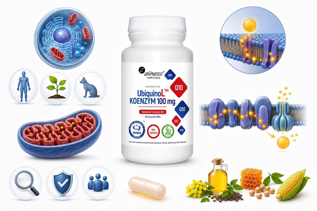 Suplement diety Aliness Ubiqinol Koenzym Q10 100 mg 60 kapsułek